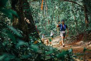 BIB: 
                            <button type="button" onclick="openModal(25395744)" class="btn btn-primary btn-sm float-right btn-popup" data-toggle="modal" data-target=".modal-high-quality">
                        <i class="fas fa-shopping-cart"></i> Add to Cart
                    </button>
                                            <button type="button" onclick="isThisMe(25395744, true)" class="btn btn-success btn-sm float-right btn-popup btn-isme hidden" data-toggle="tooltip" data-placement="bottom" title="นี่คือรูปของคุณใช่ไหม คลิกที่นี่เพื่อเอาเข้าอัลบั้ม">
                        <i class="fas fa-plus"></i> Add to album
                    </button>
                    <button type="button" onclick="isThisMe(25395744, false)" class="btn btn-warning btn-sm float-right btn-popup btn-isnotme hidden">
                        <i class="fas fa-ban"></i> Remove from album
                    </button>